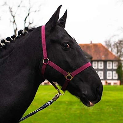 Imagen de Cabestro para Caballo, Sangre Caliente, Completa, fría, Cabestro, (Burdeos, fría)