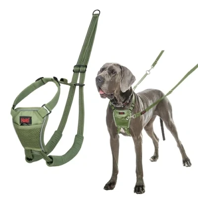 Imagen de Arnés anti tirones HALTI para evitar que tu perro tire de la correa, Ajustable, Ligero y Fácil Usar. Reflexiva Adiestramiento canino perros grandes (Talla L, Bosque Verde)