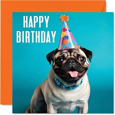 Imagen de Stuff4 Tarjetas de cumpleaños para hombres y mujeres Party Pug Tarjeta feliz mamá, papá, hermana, hermano, hija, tío, tía, abuela, abuelo, colega, mejor amigo, 145 mm x mm,