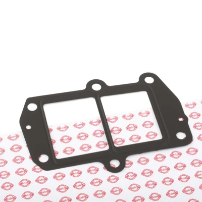Imagen de ELRING 933.770 Juntas Tapa bypass en radiator EGR MERCEDES BENZ: Clase C Berlina, Sprinter 3.5 T Bus, A, JEEP: Compass norauto, oscaro, mister