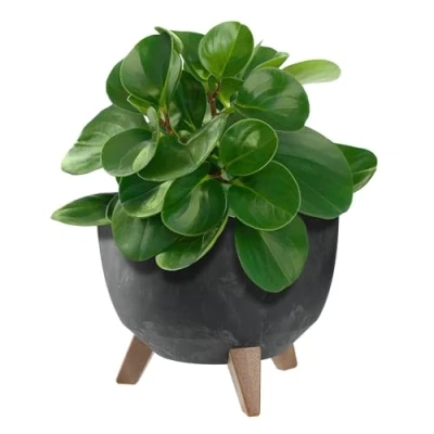 Imagen de KADAX Maceta Decorativa de Plástico con Soporte Integrado, Macetero Tres Patas Imitación Madera para Interior y Exterior (Hormigón Negro, 24 cm)