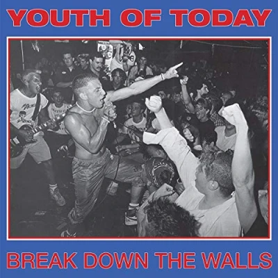 Imagen de Break Down The Walls (vinilo)