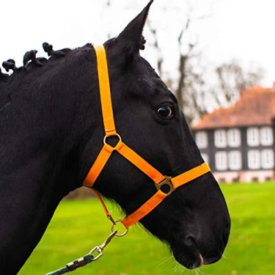 Imagen de Cabestro para Caballo de Sangre Caliente, Completa, fría, Cabestro, Pasto (Naranja, fría)
