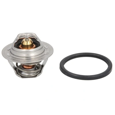 Imagen de CALORSTAT by Vernet TH6047.89J Termostato, refrigerante 89 50,0 con junta RENAULT: MEGANE 2, CLIO Kangoo I, DACIA: Duster SUV, Sandero I
