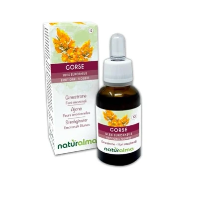 Imagen de Gorse o Aulaga (Ulex europaeus) Flores de Bach Naturalma Gotas 30 ml Extracto líquido sin alcohol Esencias florales Vegano y libre