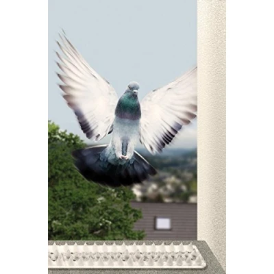 Imagen de Schellenberg 50778 Juego Repelente de Aves Standard, Placa Espinosa para ahuyentar Animales, Blanco/tranparente, Plástico transparente