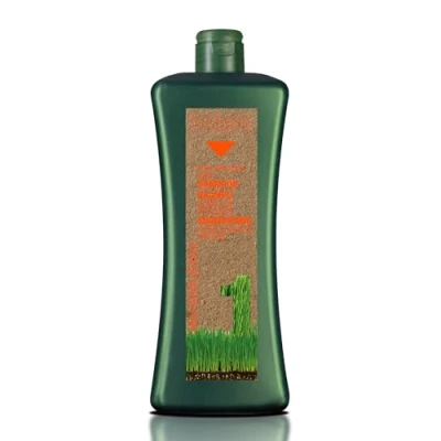 Imagen de SALERM Champú Pelo Teñido Cabellos Tratados Biokera Natura 1000 ml Protege el Color y la Fibra Capilar con Aceite de Macadamia Extracto Bayas Rojas Plus Nutrición