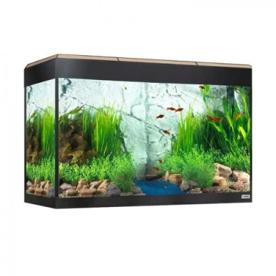 Imagen de Kit Acuario con iluminación LED Bluetooth Fluval Roma, 125 l, Roble