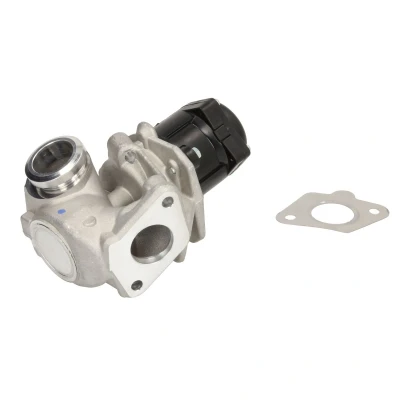 Imagen de WAHLER 710929D/1 Válvula EGR eléctrico con juntas FORD: FIESTA 5, 6, Fusion Familiar, PEUGEOT: 207 Hatchback, 206 SW