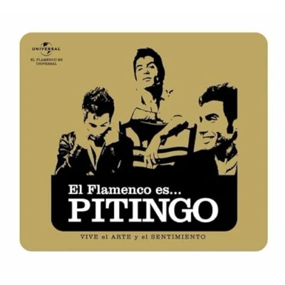 Imagen de El Flamenco Es…