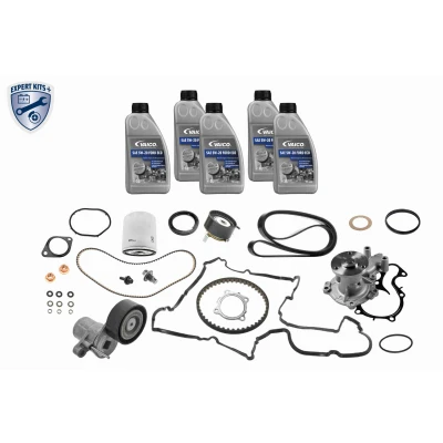 Imagen de VAICO V25 3148 Kit de correa distribución FORD: FOCUS 3, FIESTA 6, Tourneo Connect / Grand V408 Familiar