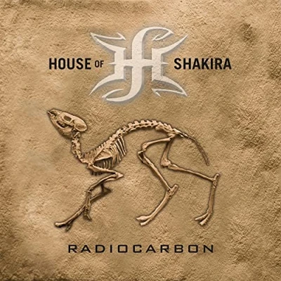Imagen de Radiocarbon Vinilo