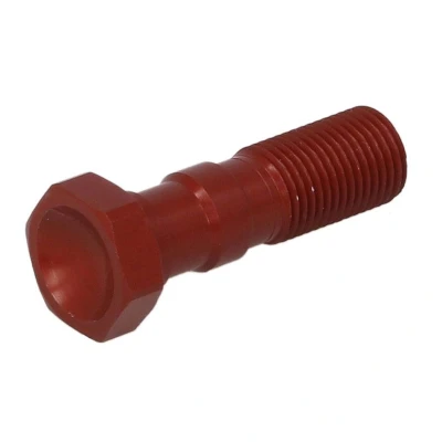 Imagen de Tornillo, latiguillo de freno TRW MCH971R