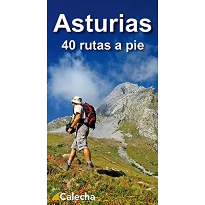 Imagen de ASTURIAS. 40 RUTAS A PIE (GUIAS VIAJE)