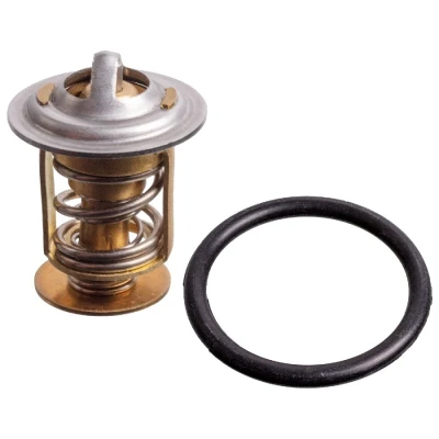 Imagen de FEBI BILSTEIN 176258 Termostato, refrigerante 75 con junta anular