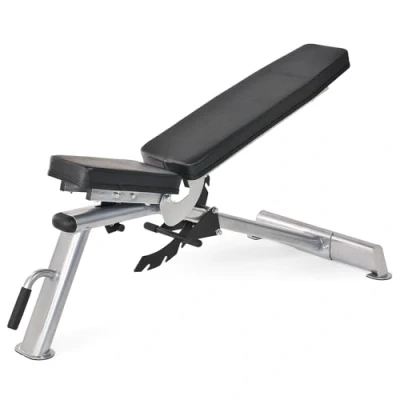 Imagen de Horizon Fitness Adonis Banco de Musculación y Pesas Ajustable Entrenamiento Inclinado Declinado Cuerpo Completo Ejercicios Gimnasio en casa