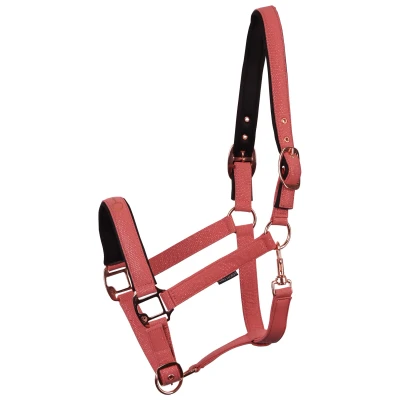 Imagen de Harry&#039;s Horse Halter Bit