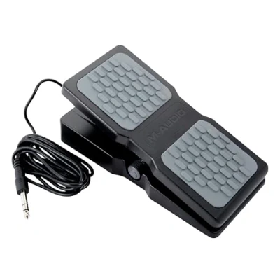 Imagen de M Audio EX P Pedal de Expresión Universal para Teclados electrónicos, y Controladores MIDI Pedales Efectos Guitarra Compatibles