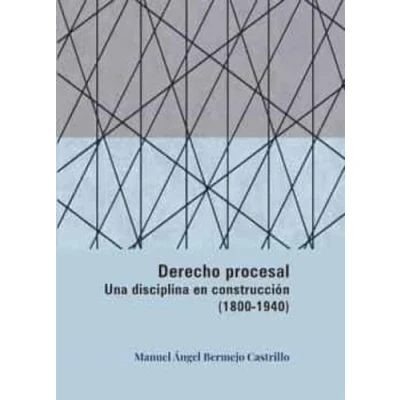 Imagen de Derecho procesal. Una disciplina en construcción (1800 1940): 115 (Carlos III. Historia del Derecho)