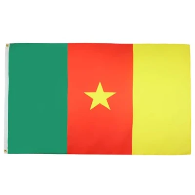 Imagen de AZ FLAG Bandera Camerún 150x90 cm Camerunesa 100% Poliéster ligero Con Ojales de Metal integrados 80g