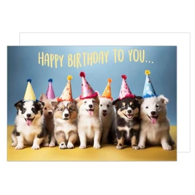 Imagen de Edition Seidel Tarjeta XXL de felicitación cumpleaños premium con sobre formato DIN A4. Billet Happy Birthday para mujer hombre niñas adolescentes perros fiesta (A4 G9995)