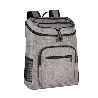 Imagen de Amazon Basics Bolsa isotérmica impermeable y ligera con aislamiento térmico, capacidad para 20L (30 latas), Gris