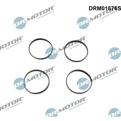 Imagen de DR.MOTOR AUTOMOTIVE DRM01676S Juego de juntas, colector admisión BMW: 5 Berlina, X5, Touring
