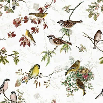 Imagen de 20 servilletas con diseño de pájaros y animales, 33 x cm