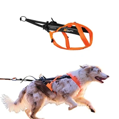 Imagen de Non stop dogwear Freemotion Arnés 5.0 para Perros Todos los Deportes, Talla: 3