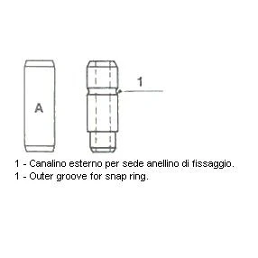 Imagen de Guía de válvula METELLI 01 2817