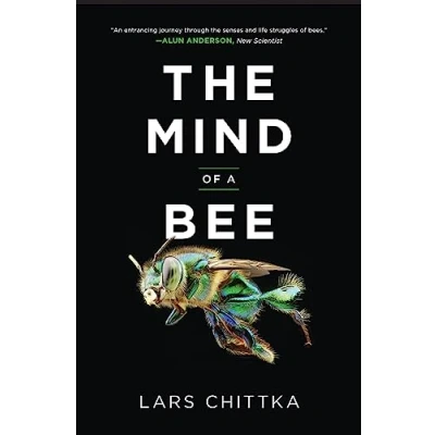 Imagen de The Mind Of A Bee