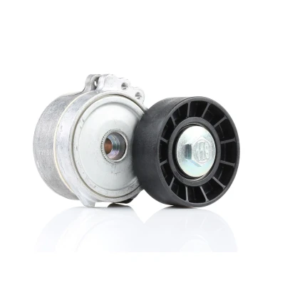 Imagen de DAYCO APV1114 Tensor de Correa PEUGEOT: 307 Hatchback, 308 I SW, FORD: Focus 2, C Max, KUGA 1, CITROËN: C4 C5 II Hatchback