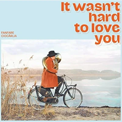 Imagen de It Wasn&#039;t Hard To Love You [Vinilo]