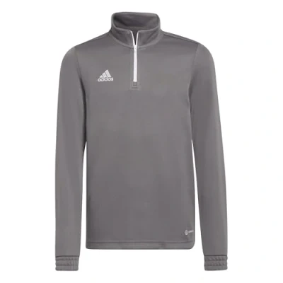 Imagen de adidas Unisex niños Entrada 22 Training Top, Team Grey Four, 7 8 Years