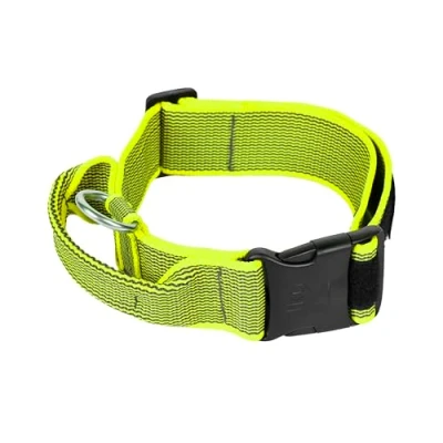 Imagen de Collar Color &amp; Gray con la manija, cerradura de seguridad y el remiendo intercambiables, 50 mm (49 70 cm), Neón Gris