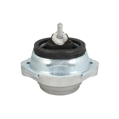 Imagen de REINHOCH RH11 3037 Soporte de motor delante hidráulico BMW: X5