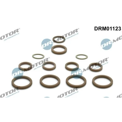 Imagen de DR.MOTOR AUTOMOTIVE DRM01123 Kit de reparación, climatización RENAULT: MEGANE 2 Stufenheck, SCENIC 2, LAGUNA