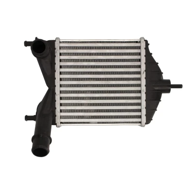 Imagen de Intercooler THERMOTEC DAF014TT