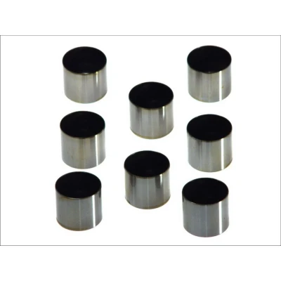 Imagen de KOLBENSCHMIDT 50007547 Taqués Hidráulicos mecánico ambos lados RENAULT: MEGANE 2 Stufenheck, CLIO 2, 1, DACIA: Duster SUV, Lodgy, SANDERO