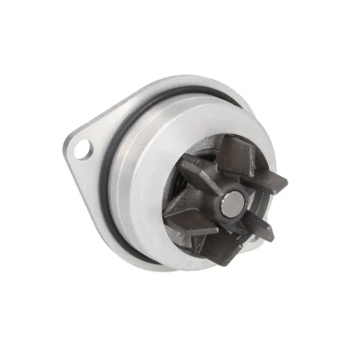Imagen de INA 538 0052 10 Bomba de agua 19 para accionamiento con correa trapecial CITROËN: Xsara Picasso, Saxo Hatchback, C3 I PEUGEOT: 307 Berlina