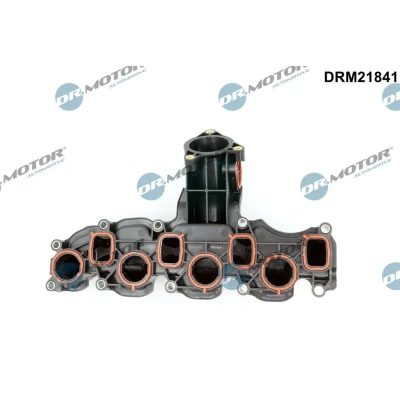 Imagen de DR.MOTOR AUTOMOTIVE DRM21841 Colectores de Admisión con juntas, sin servoelemento VOLKSWAGEN: Golf 6, 6 Cabrio, Polo V Hatchback