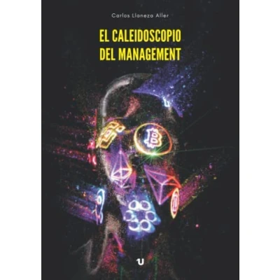 Imagen de El caleidoscopio del management