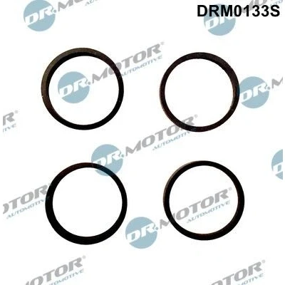 Imagen de DR.MOTOR AUTOMOTIVE DRM0133S Juego de juntas, colector admisión SEAT: Ibiza 3, 2, VOLKSWAGEN: Polo III Hatchback