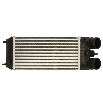 Imagen de THERMOTEC DAP007TT Intercooler NISSAN: Patrol GR 5 SUV, PEUGEOT: 207 Hatchback, SW
