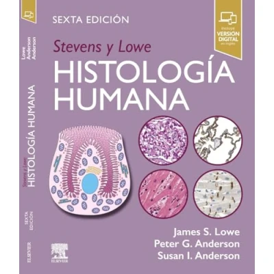 Imagen de Stevens Y Lowe. Histología Humana (6ª Ed.)