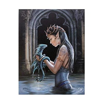 Imagen de Lisa Parker ANNE STOKES WP_75422 Placa (20 x 26 cm), multicolor