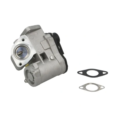 Imagen de Válvula EGR EASY FIT NRF 48666
