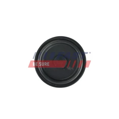 Imagen de FAST FT60107 Membrana, ventilación bloque motor