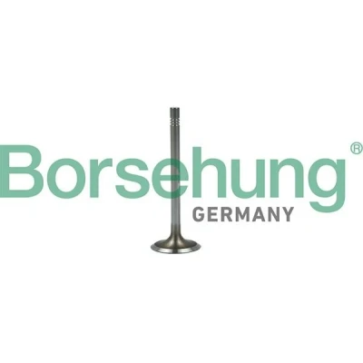 Imagen de Borsehung B19022 Válvula de Admisión