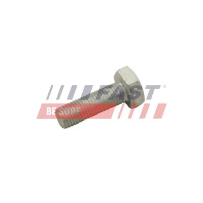 Imagen de Tornillo, disco de freno FAST FT30601